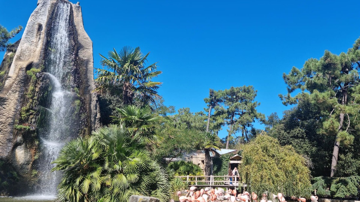 Taillant House | Enjoy a wonderful vacation in this beautiful vacation home.