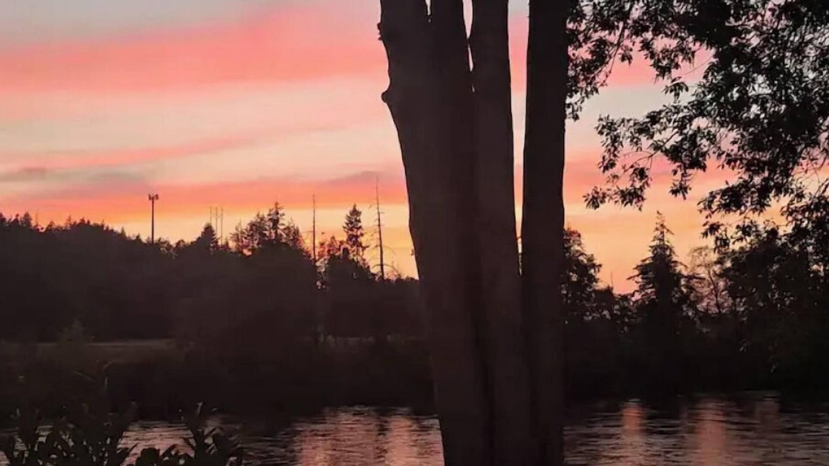 Springfield House | Enjoy Beautiful Sunsets on the Willamette River in a rural setting