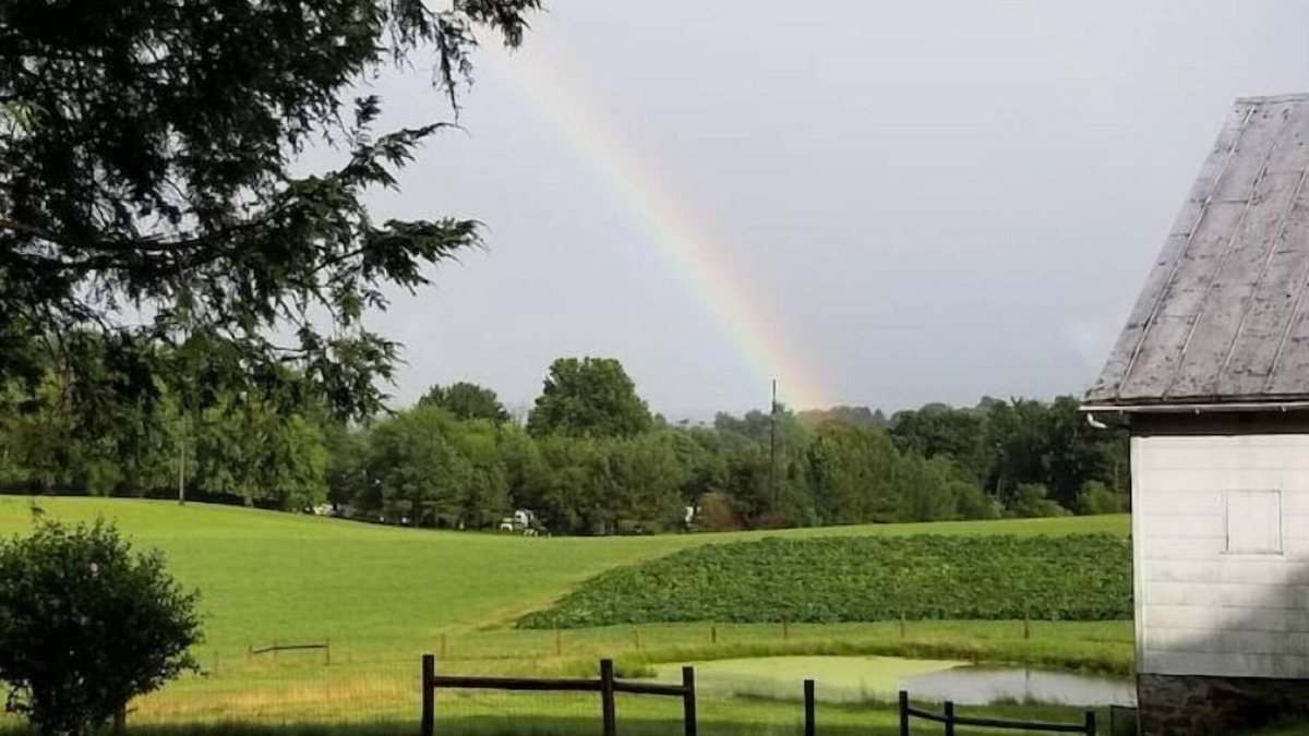 Grantville Other | Enjoy peaceful farm life! Pet-friendly, 23 acres, baby goats and chickens!