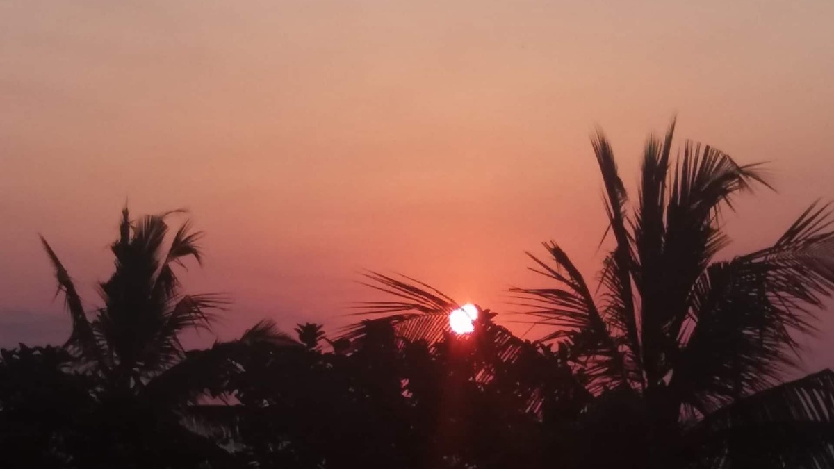 Mafia Island Hotel | Enjoy to to stay Mafia beach resort