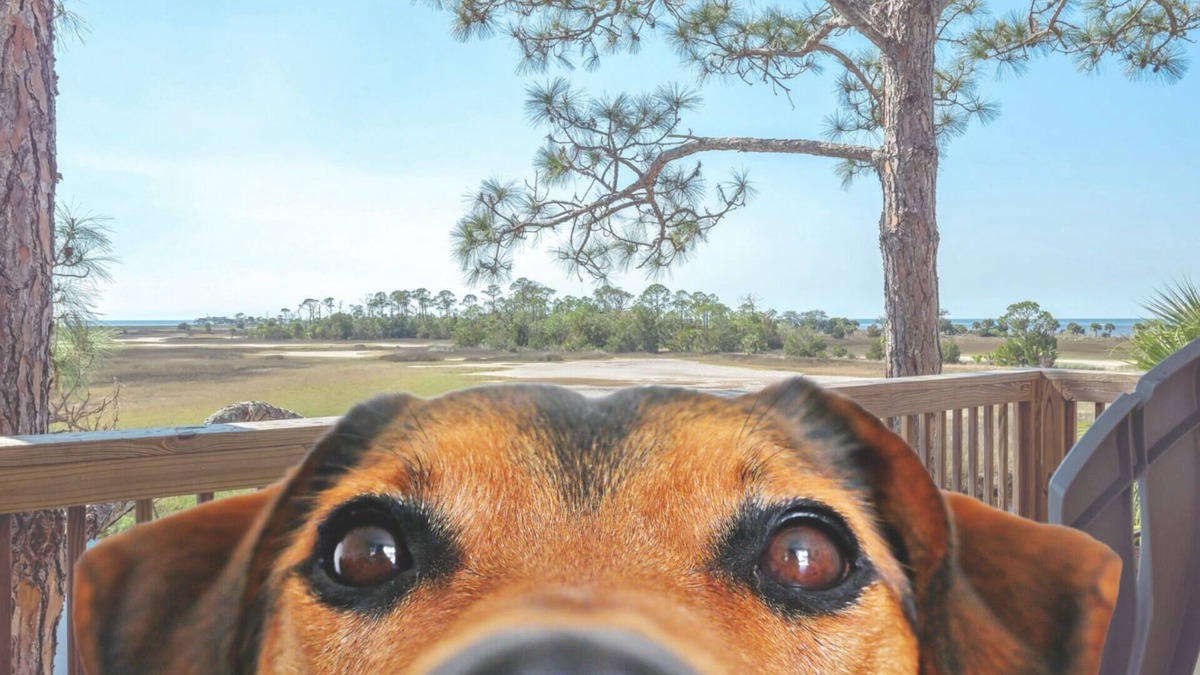 Salem House | Enjoy water views from our covered deck + dock, pet friendly - 1 mile to Keaton