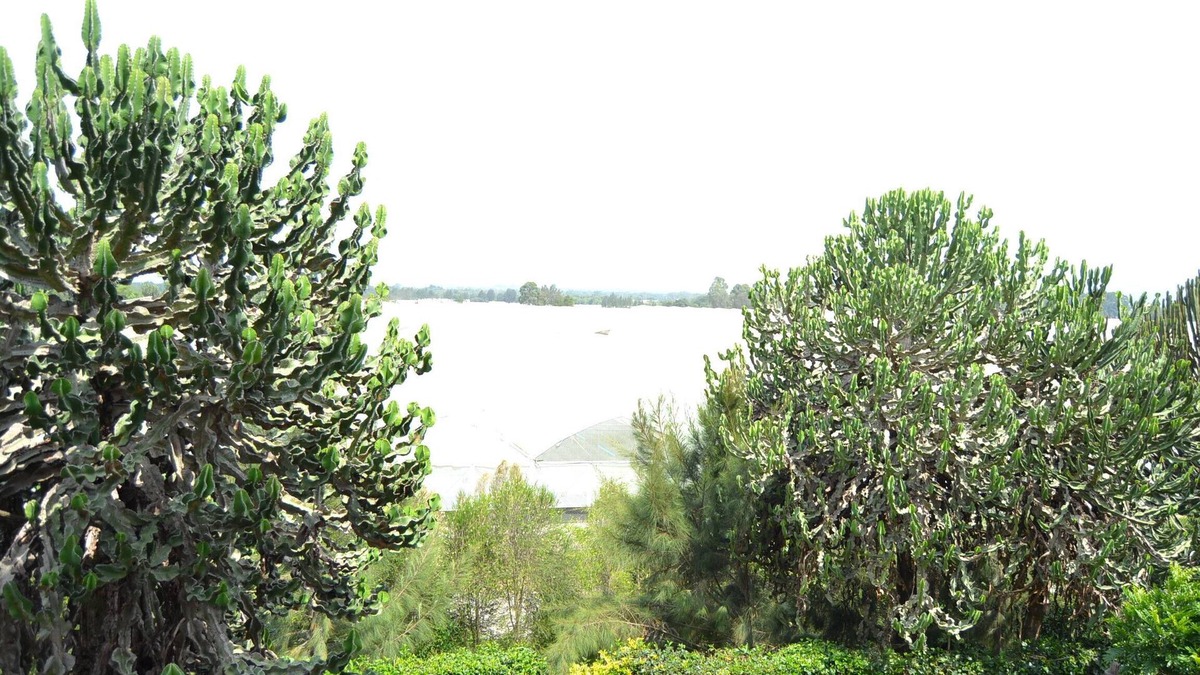 Naivasha Villa | Enjoy Your Stay at Astorian Panda Villas five minutes from Naivasha Town -Kenya
