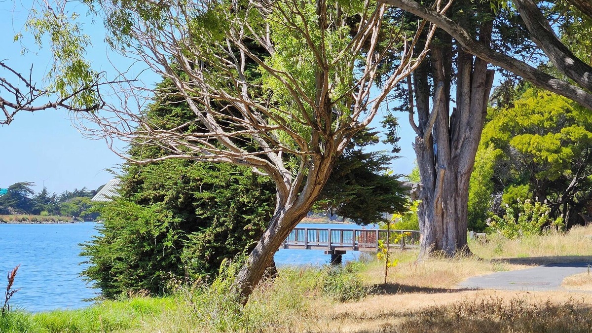 San Francisco Apartment | Enjoyable 1-bedroom in Emeryville, Marina views.
