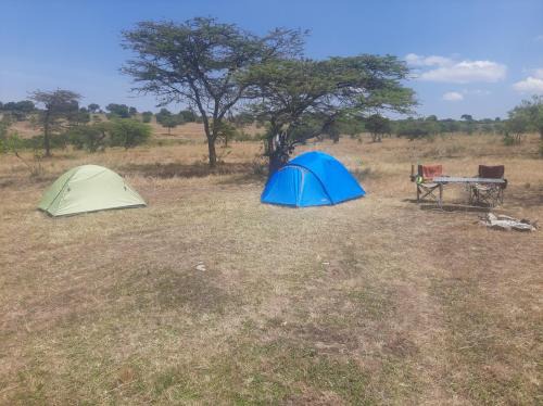Mara North Conservancy Other | Enkereri Camp Maasai Mara
