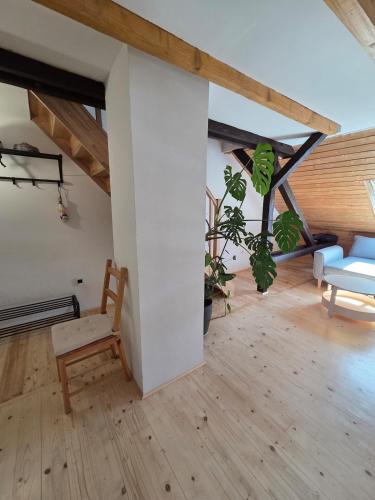 Sattledt Apartment | Entire apartment 10 min from train station