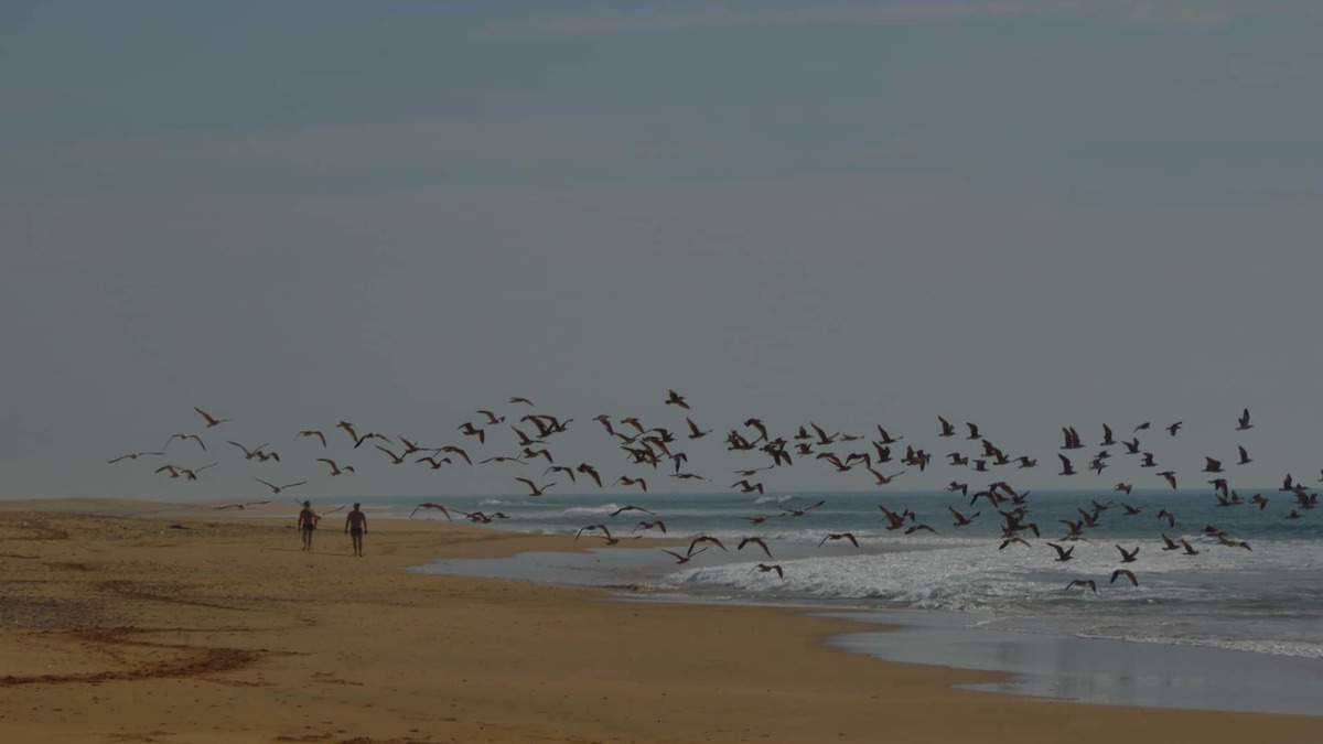 Sahel Chamali Cottage | ENTIRE APARTMENT IN FRONT OF THE ATLANTIC, VIRGIN BEACHES, RURAL MOROCCO