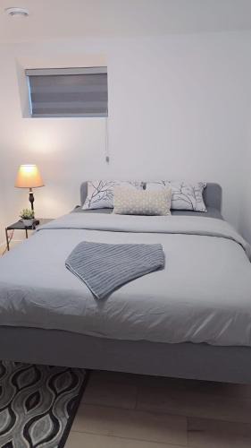 Winnipeg Apartment | Entire Basement Suite in Bonavista