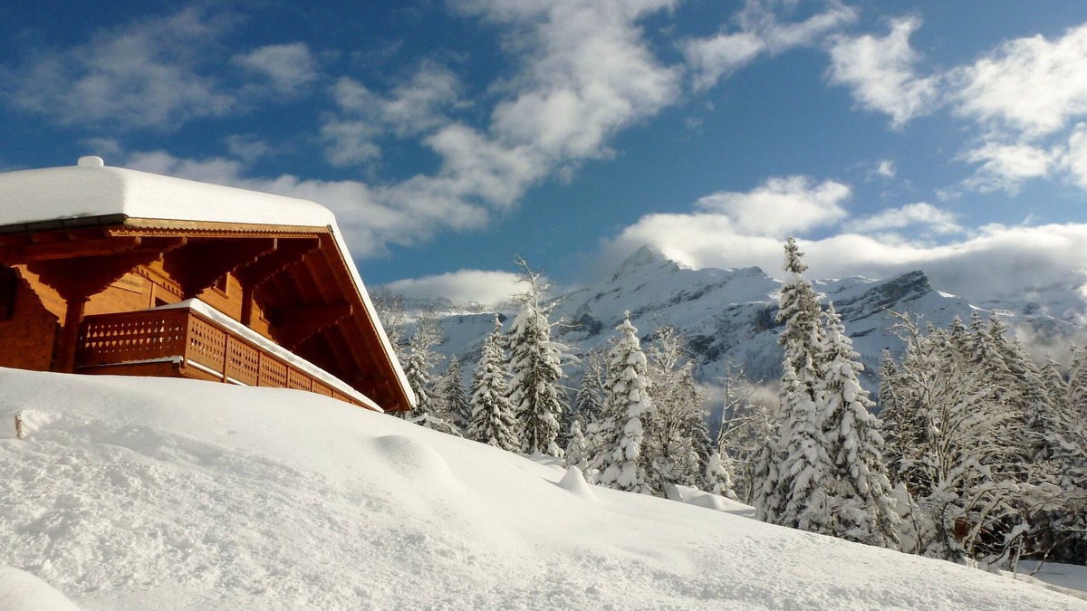 Ormont-Dessus Ski Chalet | Entire chalet with spectacular view -10 pers