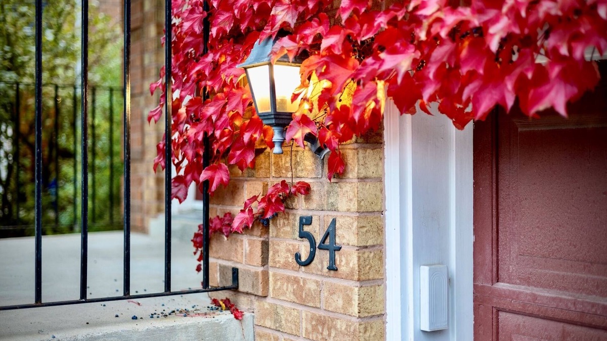 Aurora House | Entire Cheerful House