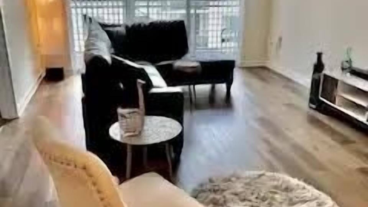 Channel District Condo | Entire Condo 2/1 Channelside 2 min to Ybor City,