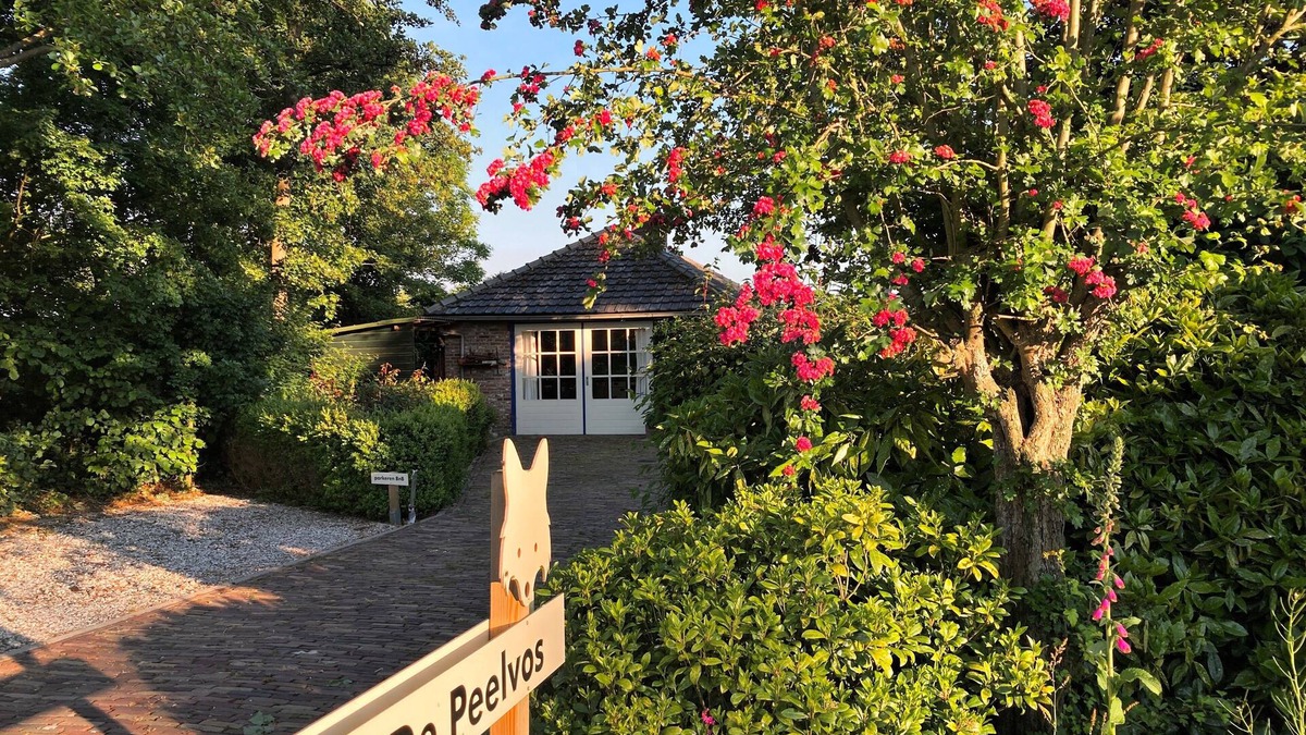 Municipality of Deurne House | Entire home as a Bed and Breakfast
