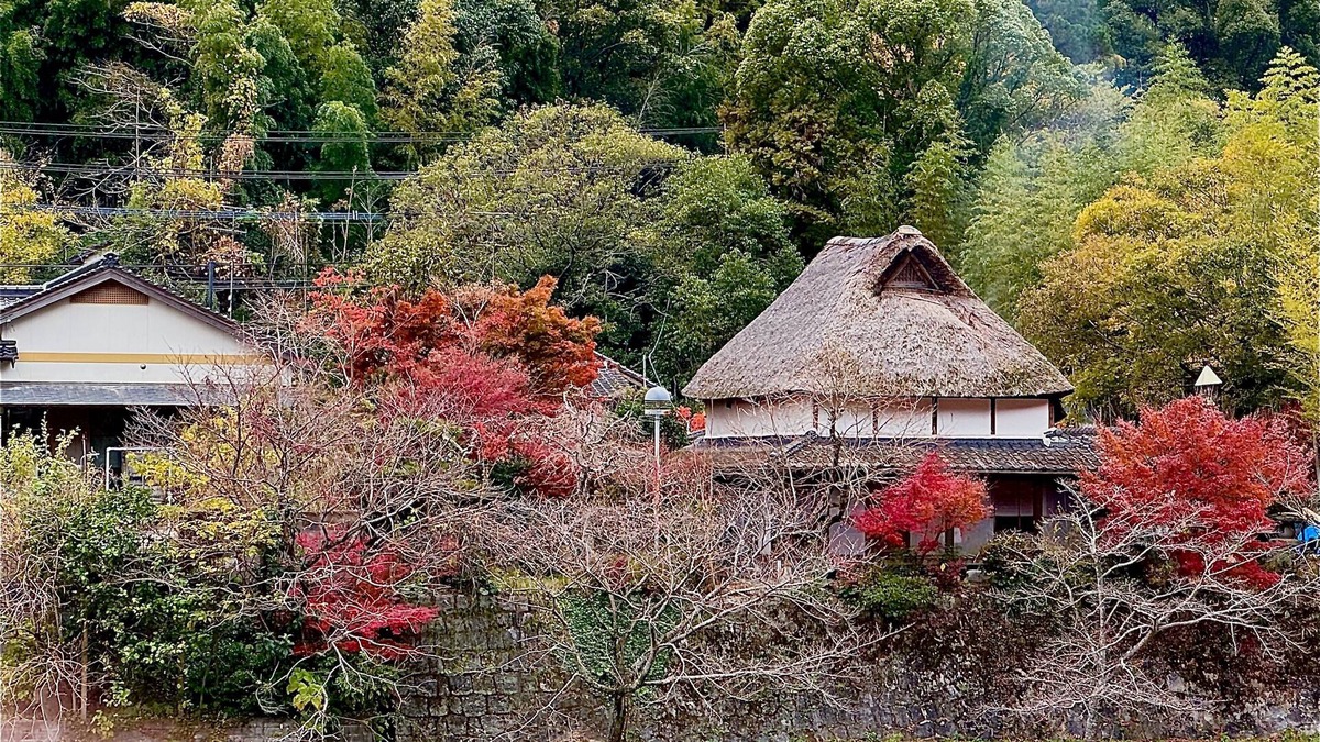 Saga House | Entire old house rental, complete rental, private sauna