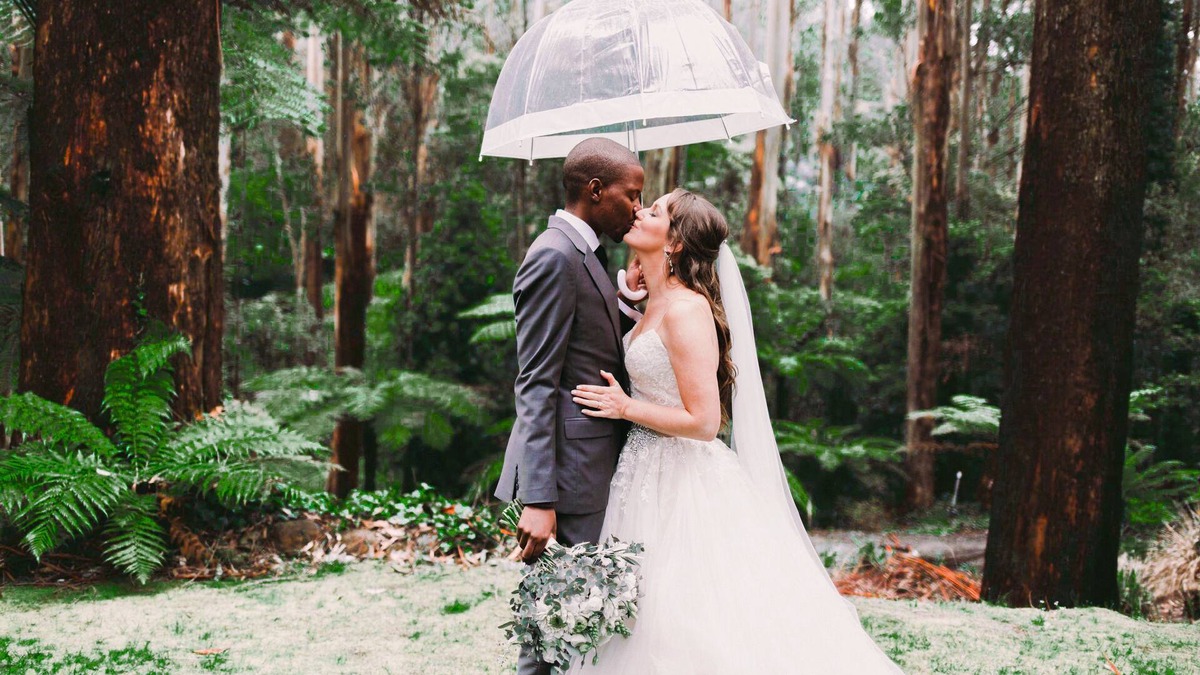 Mount Dandenong Villa | Entire retreat in private rainforest with river. Sleeps20+
