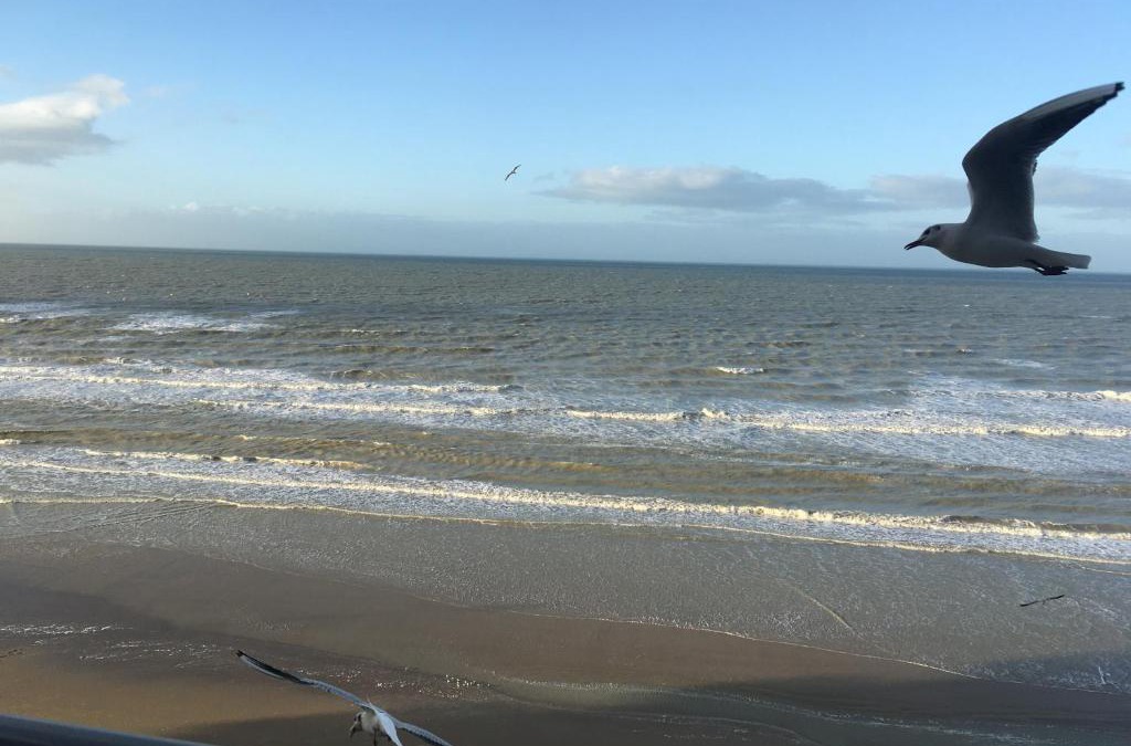Bray-Dunes Apartment | Entre dunes et mer