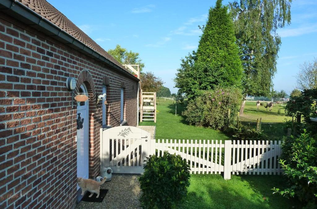 Mont-de-l'Enclus Bed & Breakfast | Entre monts et collines B&B et spa en option