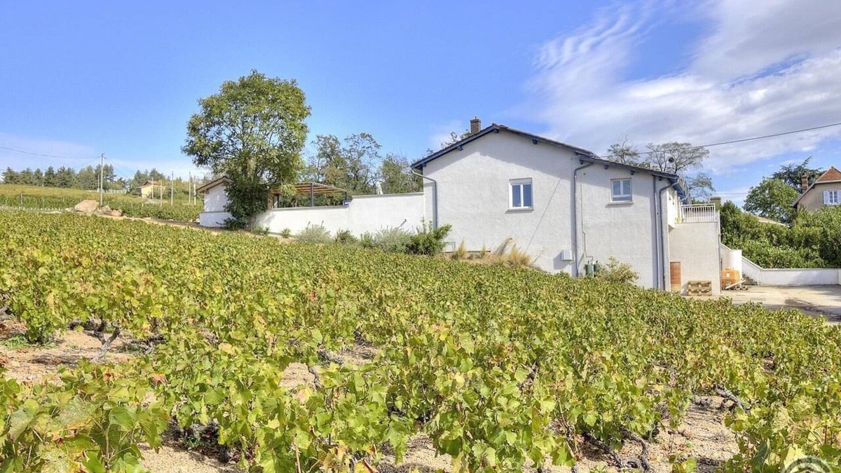 Saint-Etienne-la-Varenne House | Envol et Vigne - Saint Etienne LA Varenne