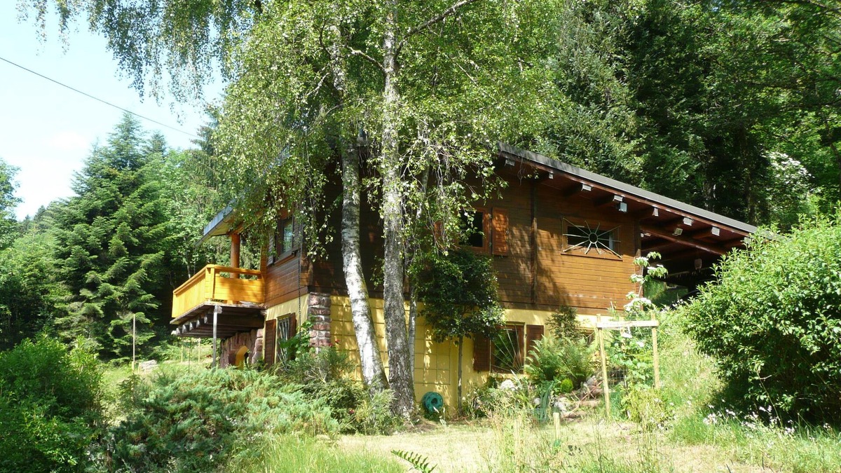 Sapois Ski Chalet | ENVOL Sud Vosges Parc des Balons prox Gérardmer Panorama Quietude Tranquillity.
