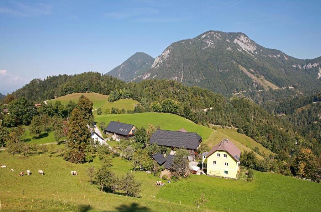 Zell Apartment | Erlebnis Bienenapartment Adamk