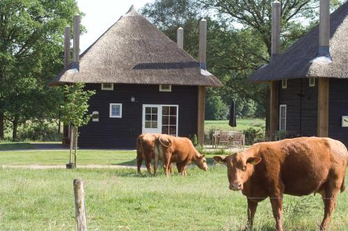 Municipality of Wierden House | Erve Woolderink