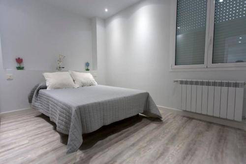 Segundo Ensanche Apartment | 65 m² Apartment ∙ 2 bedrooms ∙ 4 guests