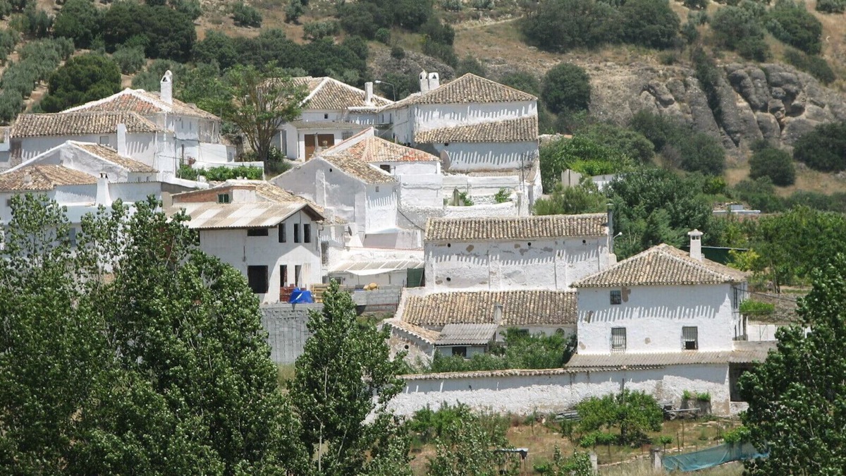 Alcala la Real House | Es un alojamiento rural, rodeado de naturaleza: olivos, almendros y tranquilidad