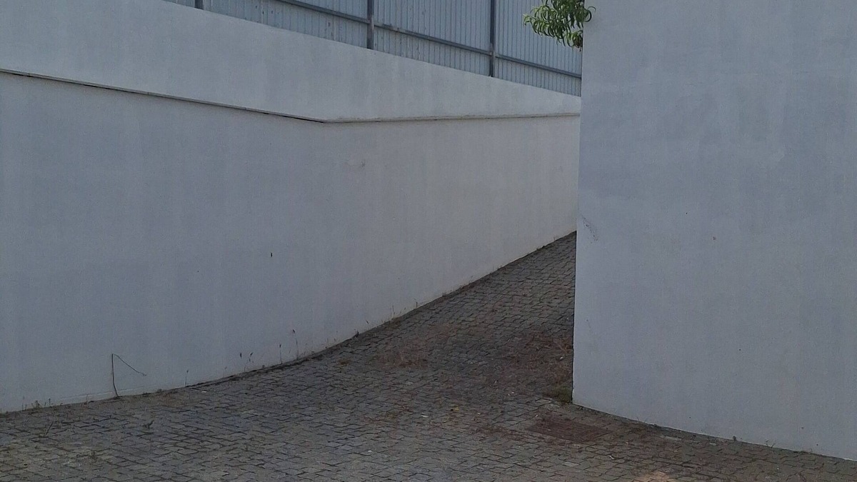 Castelo Branco House | Escapada na Beira Interior, com piscina e muito espaço!