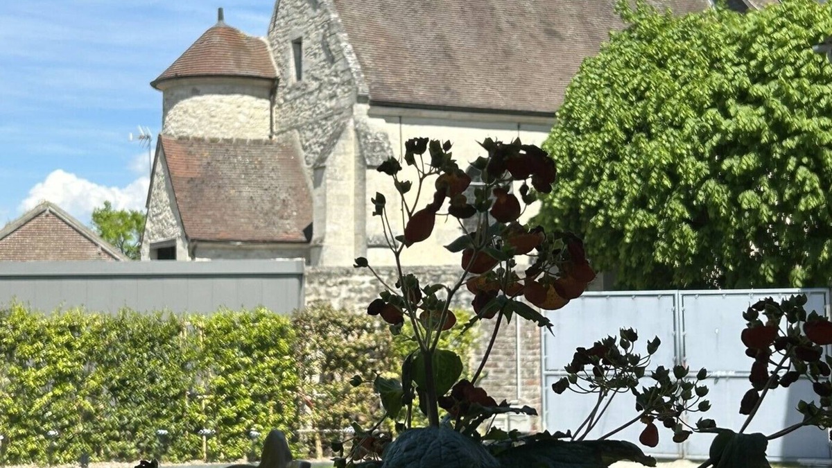 Barbery Bed & Breakfast | 🌿 Escapade for two in a charming studio near Chantilly & Parc Astérix