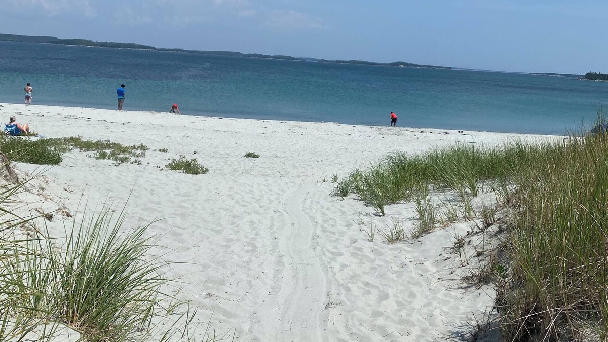 Sheet Harbour Other | Escape city ocean view and drink a coffee on the deck sleeps 12 🫎🤩🌊🌈👍🚣🚴‍♂️