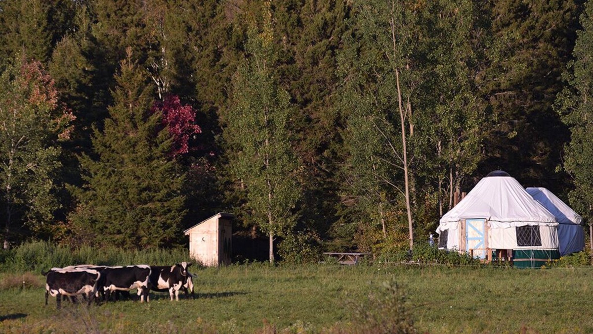 Powassan RV Rental | Escape to Nature: Cozy Yurt on a Heritage Farm with Trails, Pond, & Sauna