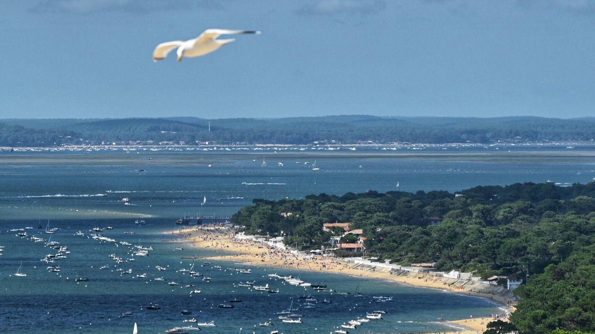 Pyla-sur-Mer Apartment | Escape to Pyla: Beach, Forest & Dune Retreat