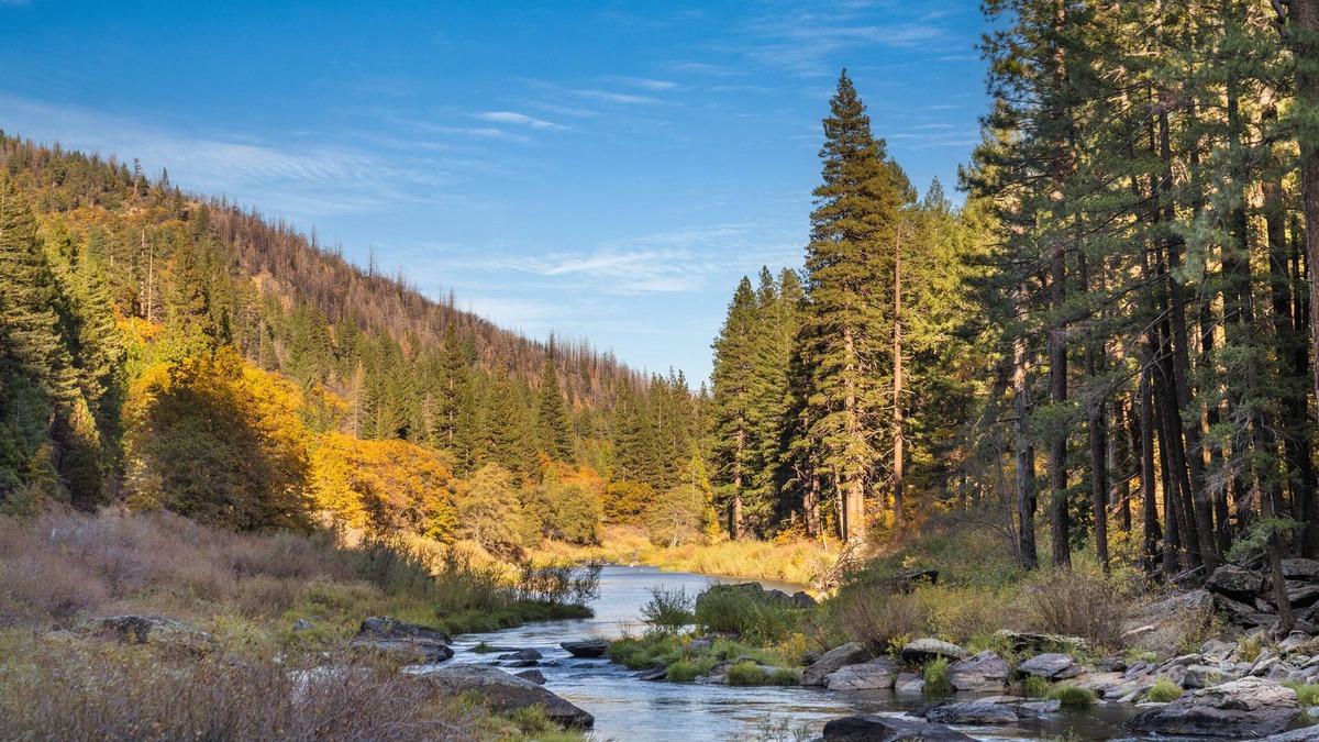 Greenville House | Escape to the Cabin, 1GB Ultrafast WiFi, in Plumas National Forest