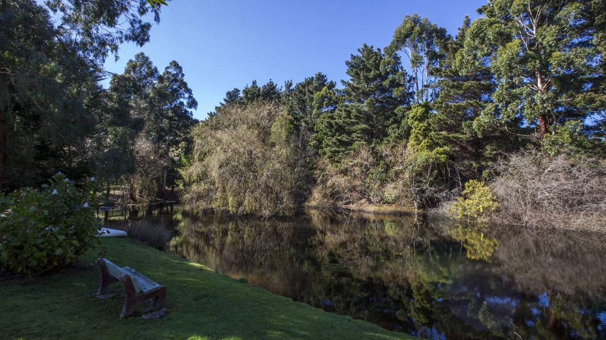 Apollo Bay House | Escape to Valley View Nature Retreat – A Hidden Sanctuary in Apollo Bay
