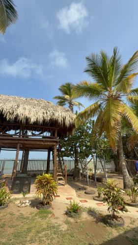 Paso Nuevo Bed & Breakfast | Espectacular cabaña frente al mar