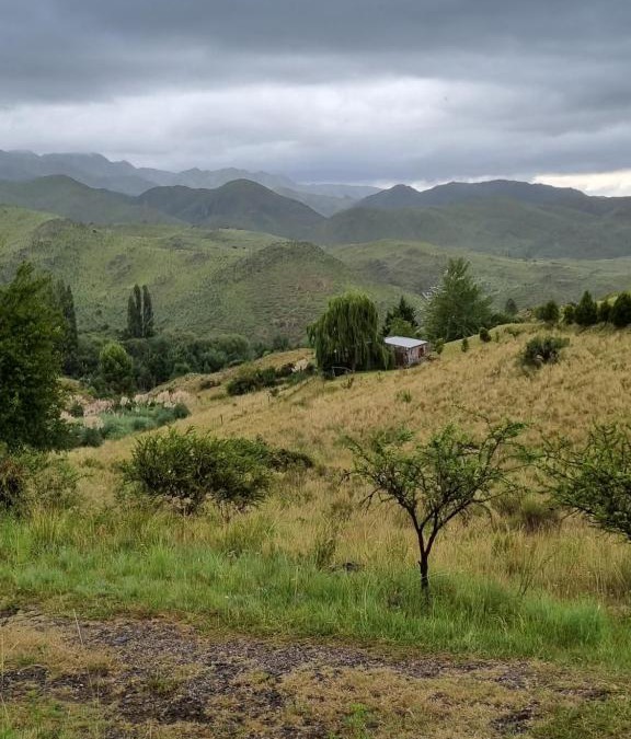 Trapiche House | Estancia Altos del Durazno