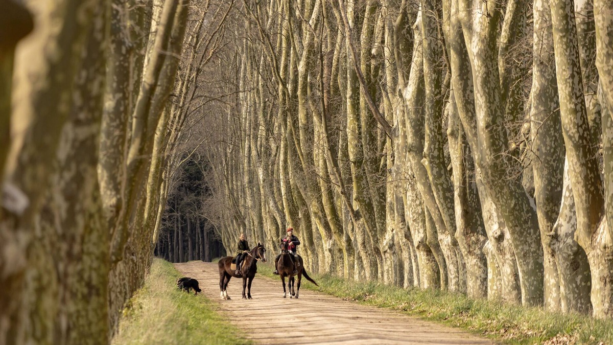 San Miguel del Monte Hotel | Estancia Los Patos