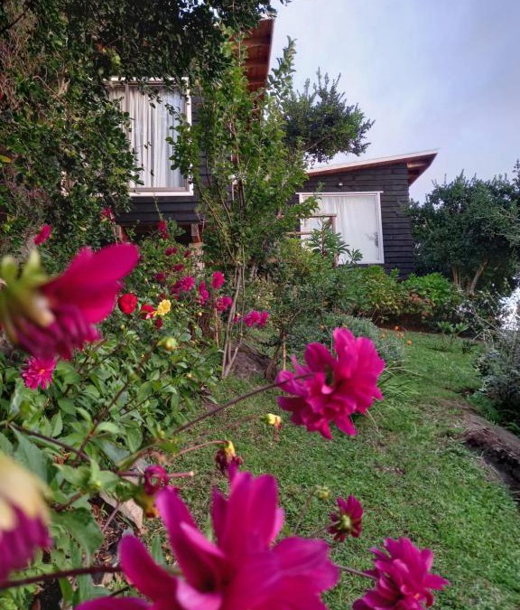 Llifen House | ESTANCIA LOS BOLDOS