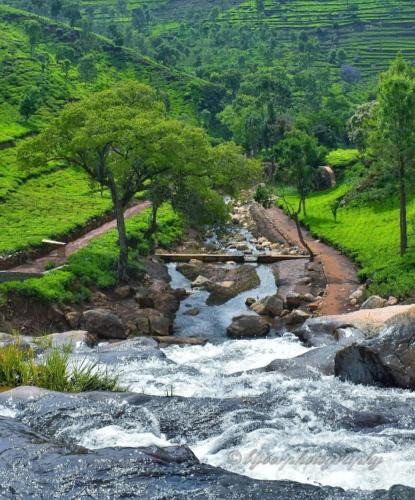 Wellington House | Estate Bungalow with Waterfall, Mountain & Valley Views