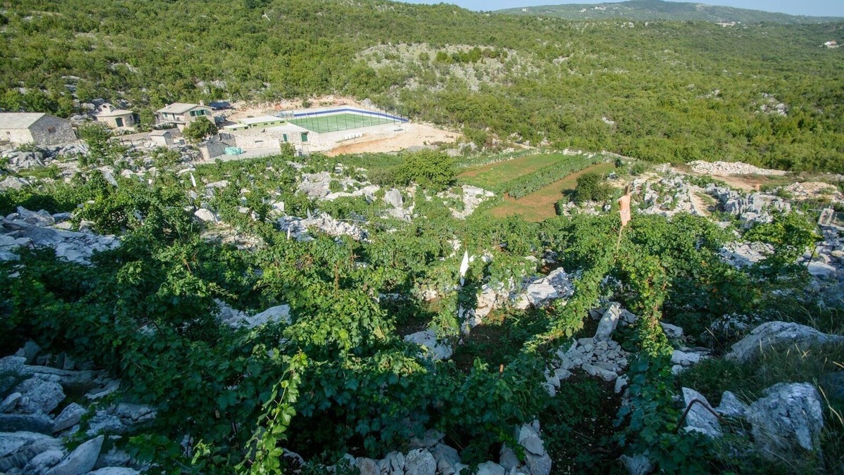 Rastovac House | Estate Eko village Stanic
