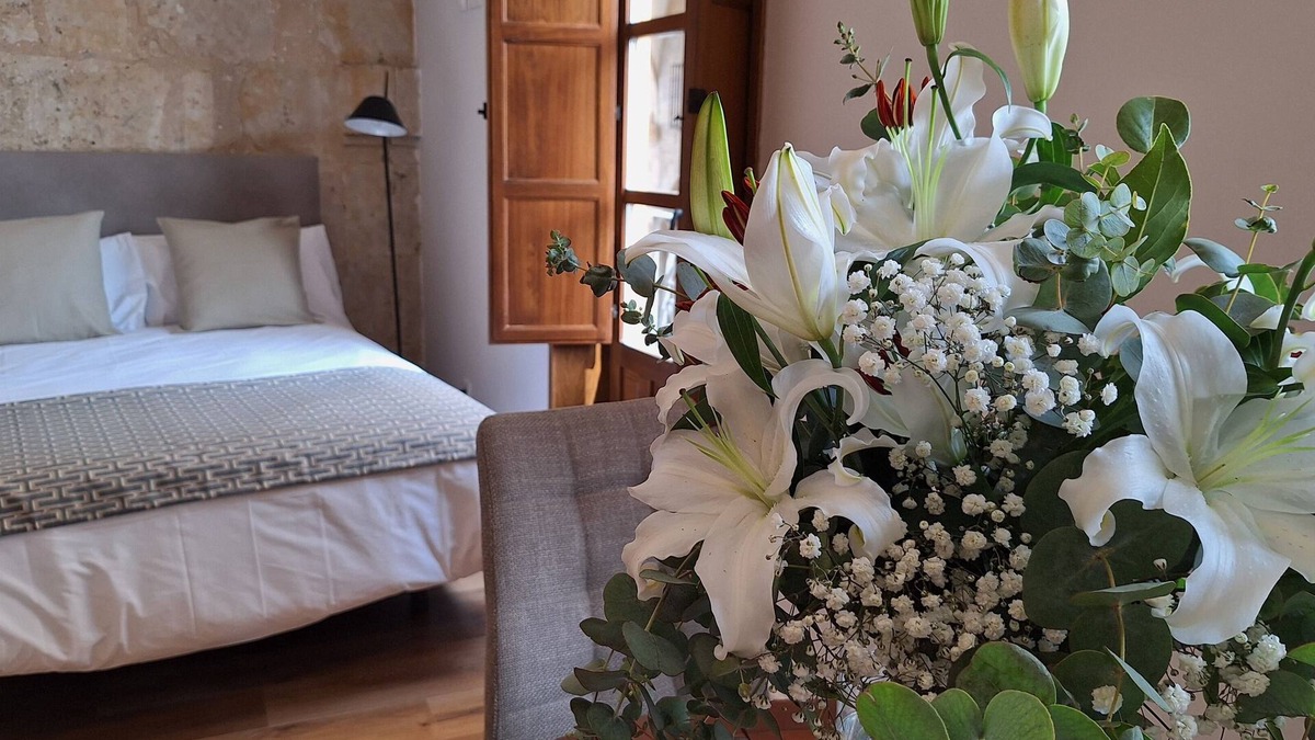Centro Apartment | Estudio VIP a 10 Metros de la Plaza Mayor de Salamanca