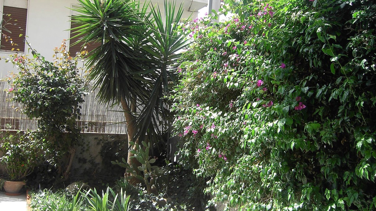 Motta Sant'Anastasia House | Etna Inn