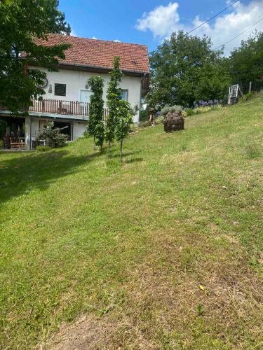 Central Serbia House | Etno vikendica Miokovci
