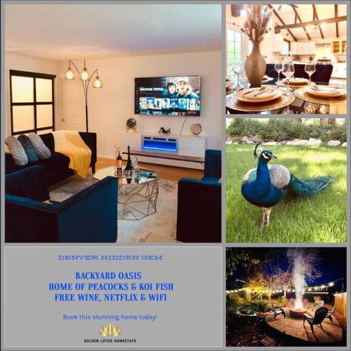 Wheat Ridge House | European Hideaway, Backyard Oasis, 10min to DT Denver