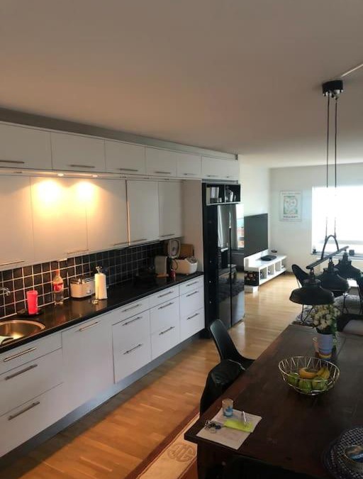 Malmo Old Town Apartment | Eurovision city apartment malmö