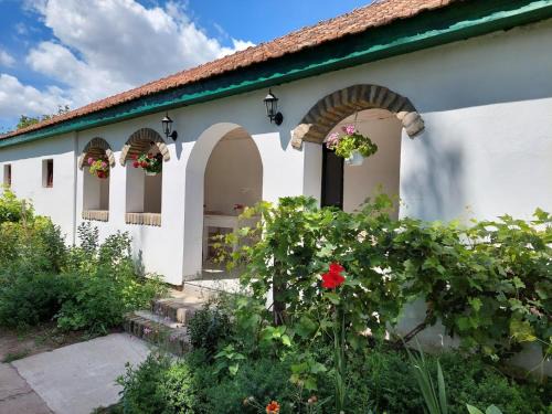 Vojvodina House | EVA HOUSE