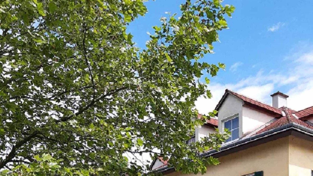 Waidhofen An Der Ybbs Apartment | Eva's City Apartement