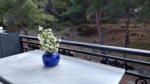 Ireon Apartment | Evaggelia's Seaside Boutique Apartment