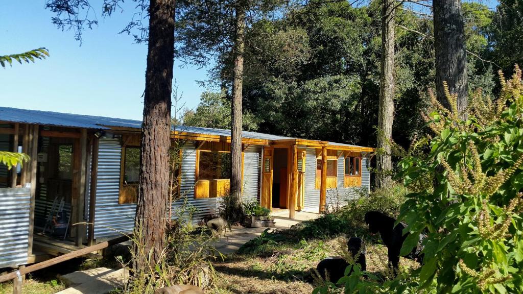 Karkloof Nature Reserve House | Evergreen Cabin Karkloof