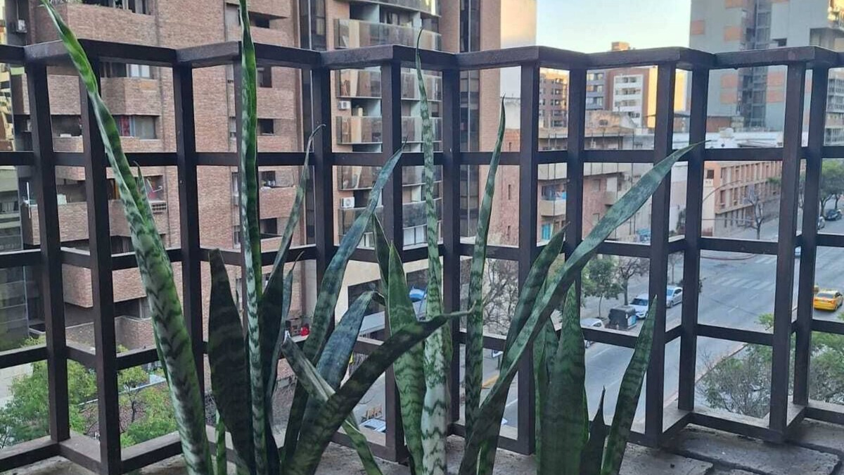 Cordoba Apartment | Excellent apartment. Olmos Courtyard
