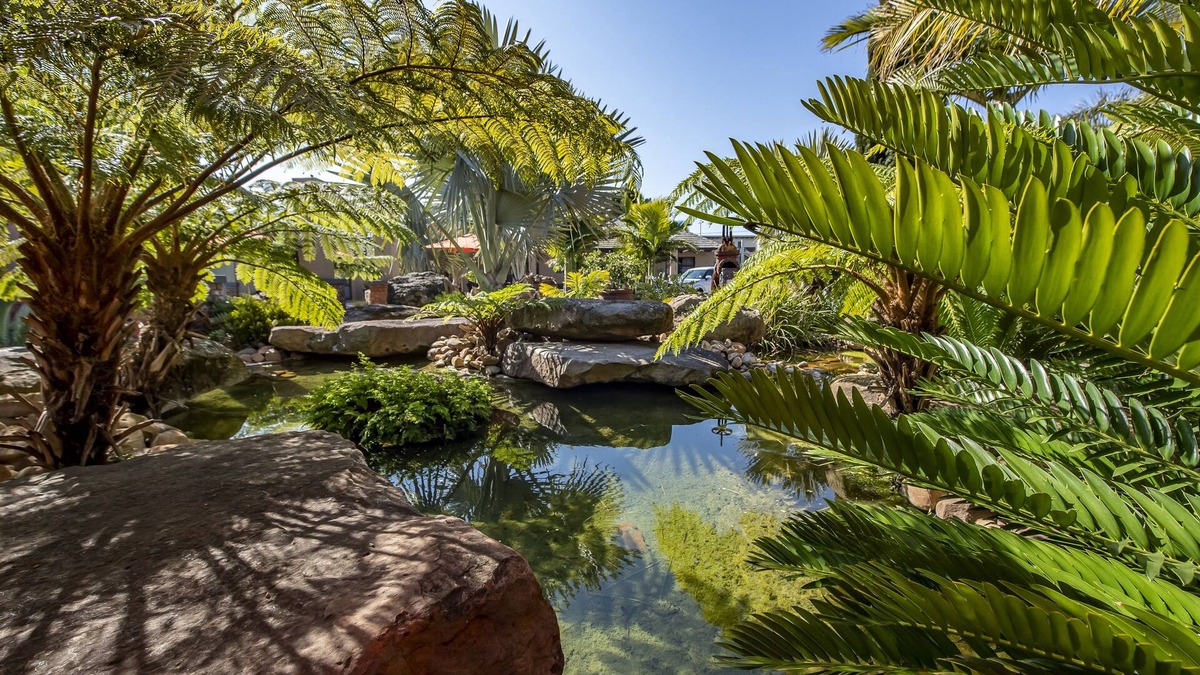 Eikenbosch House | Excellent Guest House