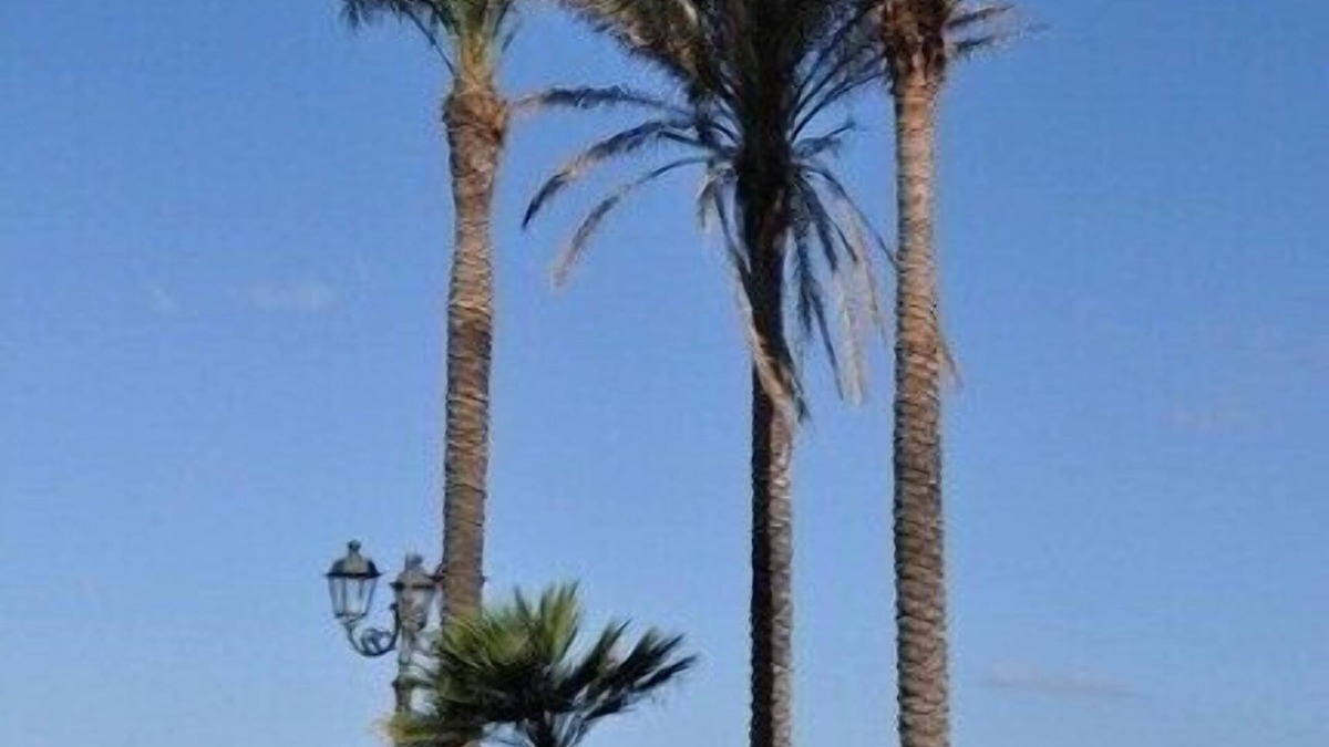 La Pietraia Apartment | Exceptional Ocean Front Penthouse - In Town And Close To Beach